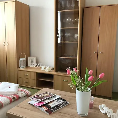 Apartment Apartman Dana