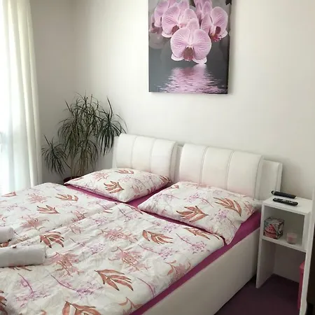 Apartman Dana Apartment *