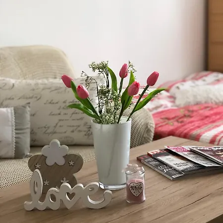 Apartman Dana Apartment